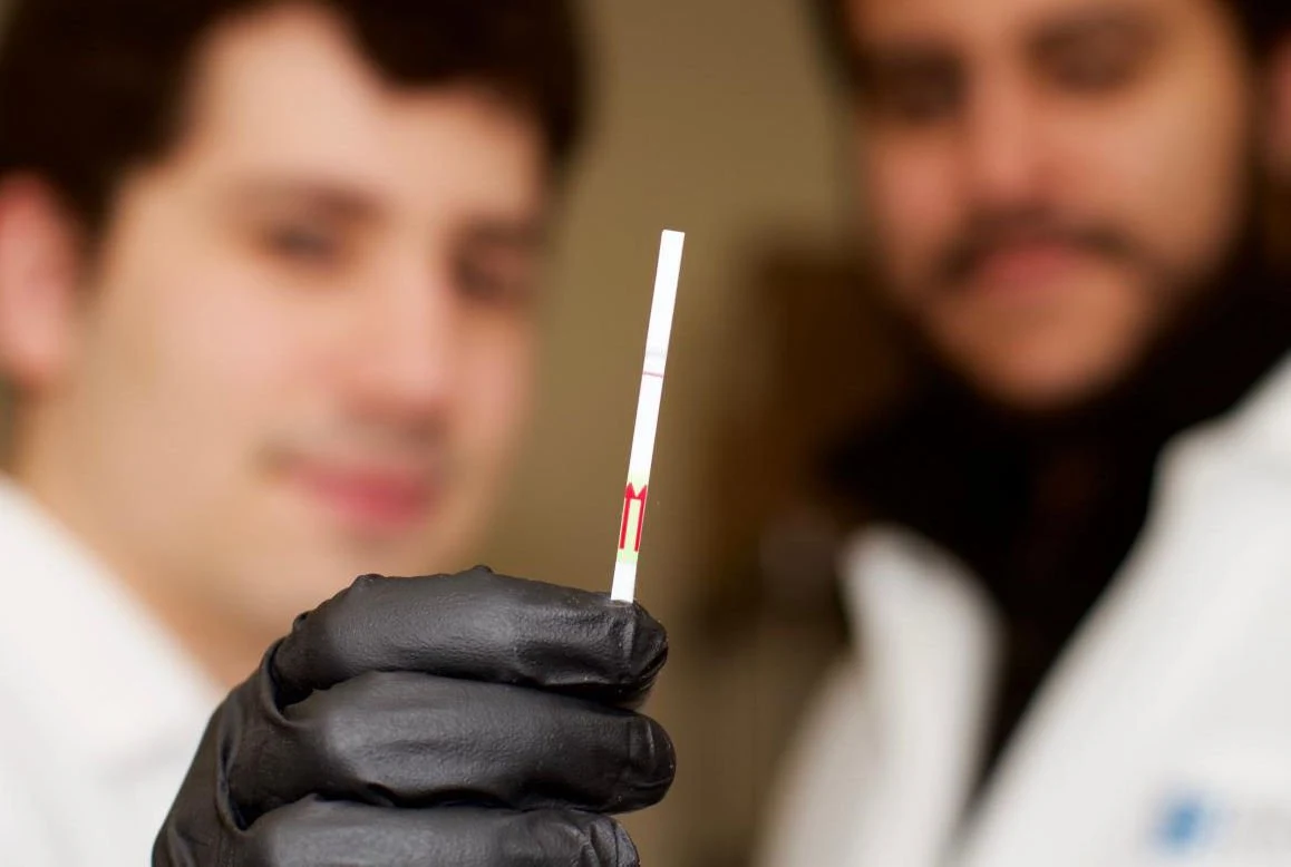 Crispr/Cas per Teststreifen
