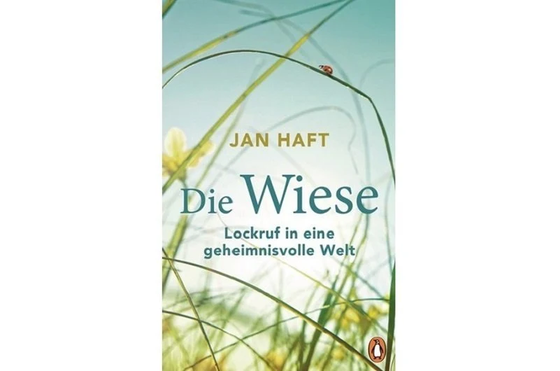 Geheimnisvolle Wiesenwelt