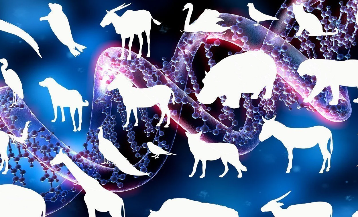 Kartierung der Wirbeltiergenome