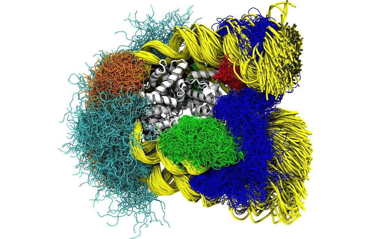 Wie sich die DNA öffnet