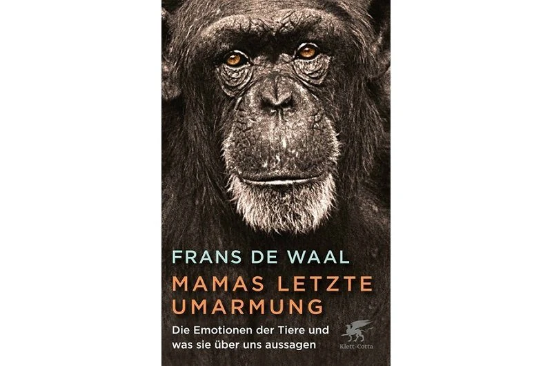 Der Mensch, ein moderner Bonobo?