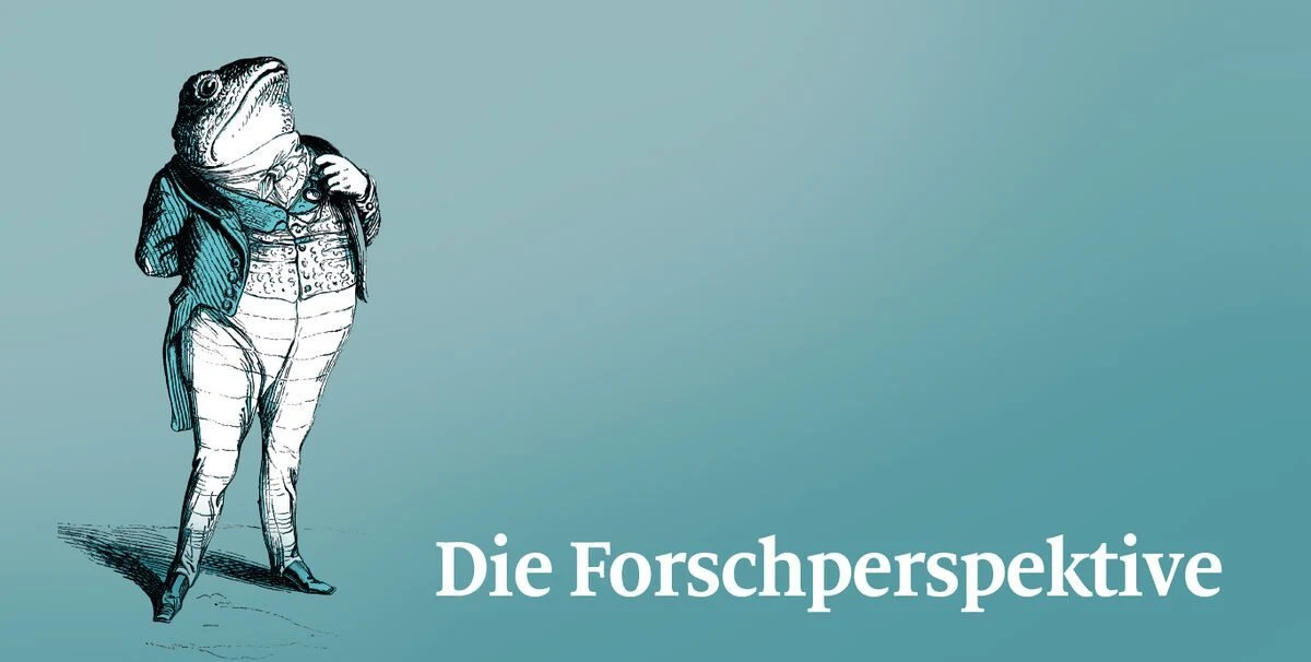 Forschung im Komparativ