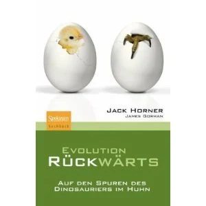 EVOLUTION RÜCKWÄRTS