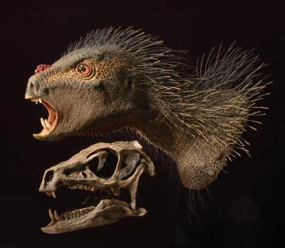 Video der Woche: Mini-Vampir-Dino in 3D