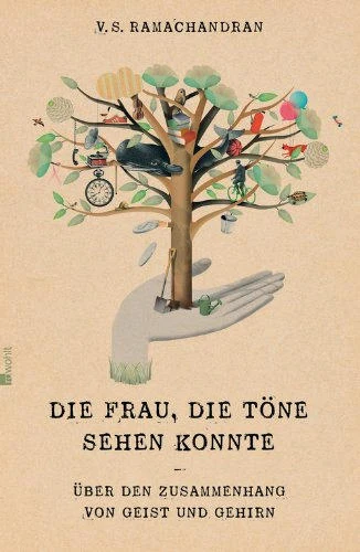 Wundertüte der Gehirnforschung