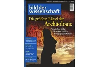 bild der wissenschaft 11-16