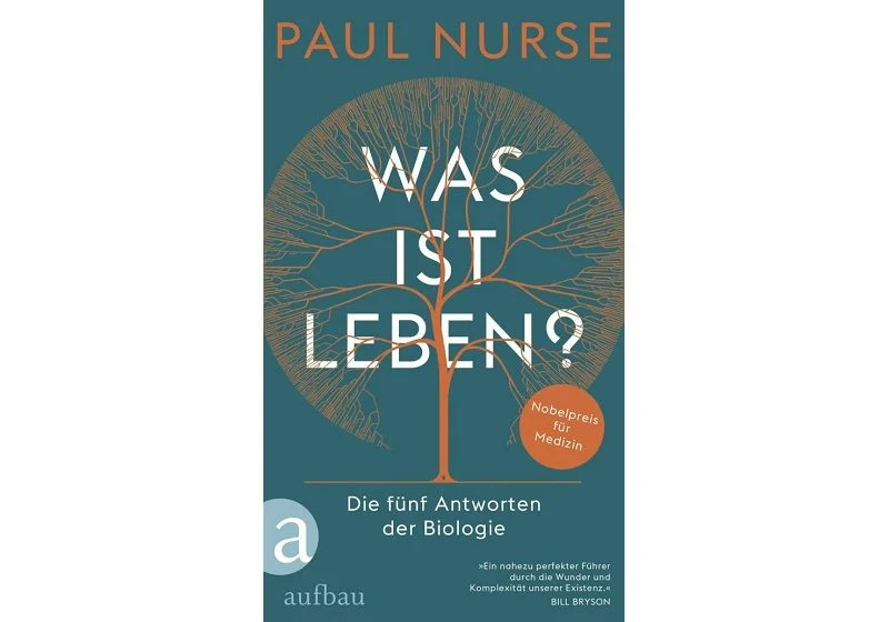 Antworten vom Zitronenfalter