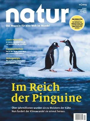 Im Reich der Pinguine