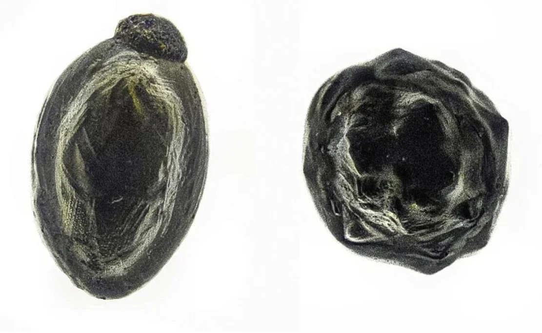 Mini-Meteorite vom Hausdach analysiert