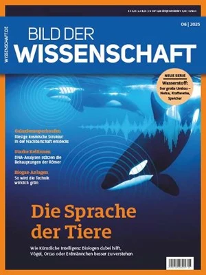 Bild der Wissenschaft 08-2025