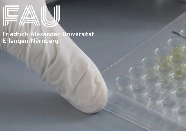 Aminosäuren für die Darmgesundheit