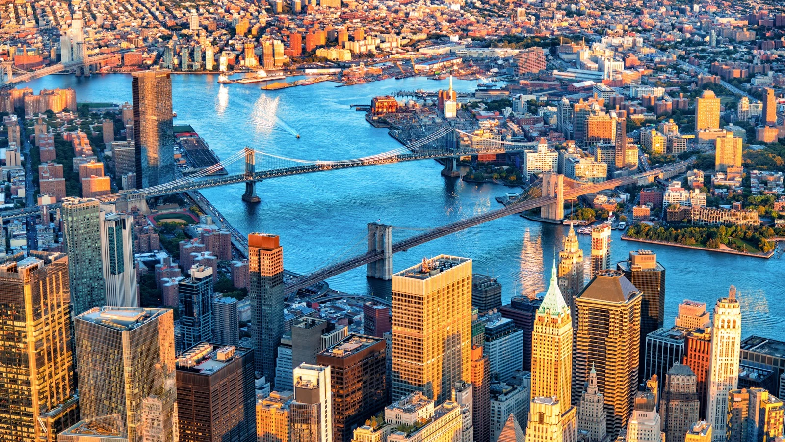 Umwelt-DNA aus dem East River in New York wird zum Biosensor