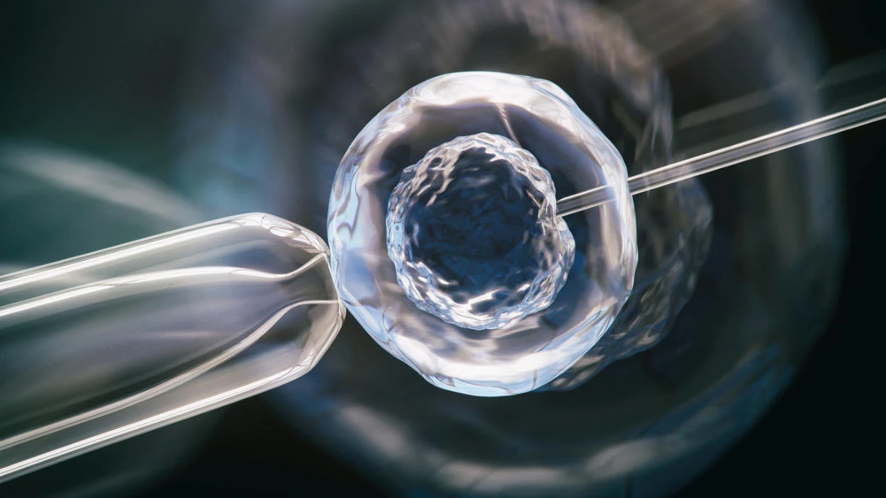 Forscher verändern Gene menschlicher Embryos