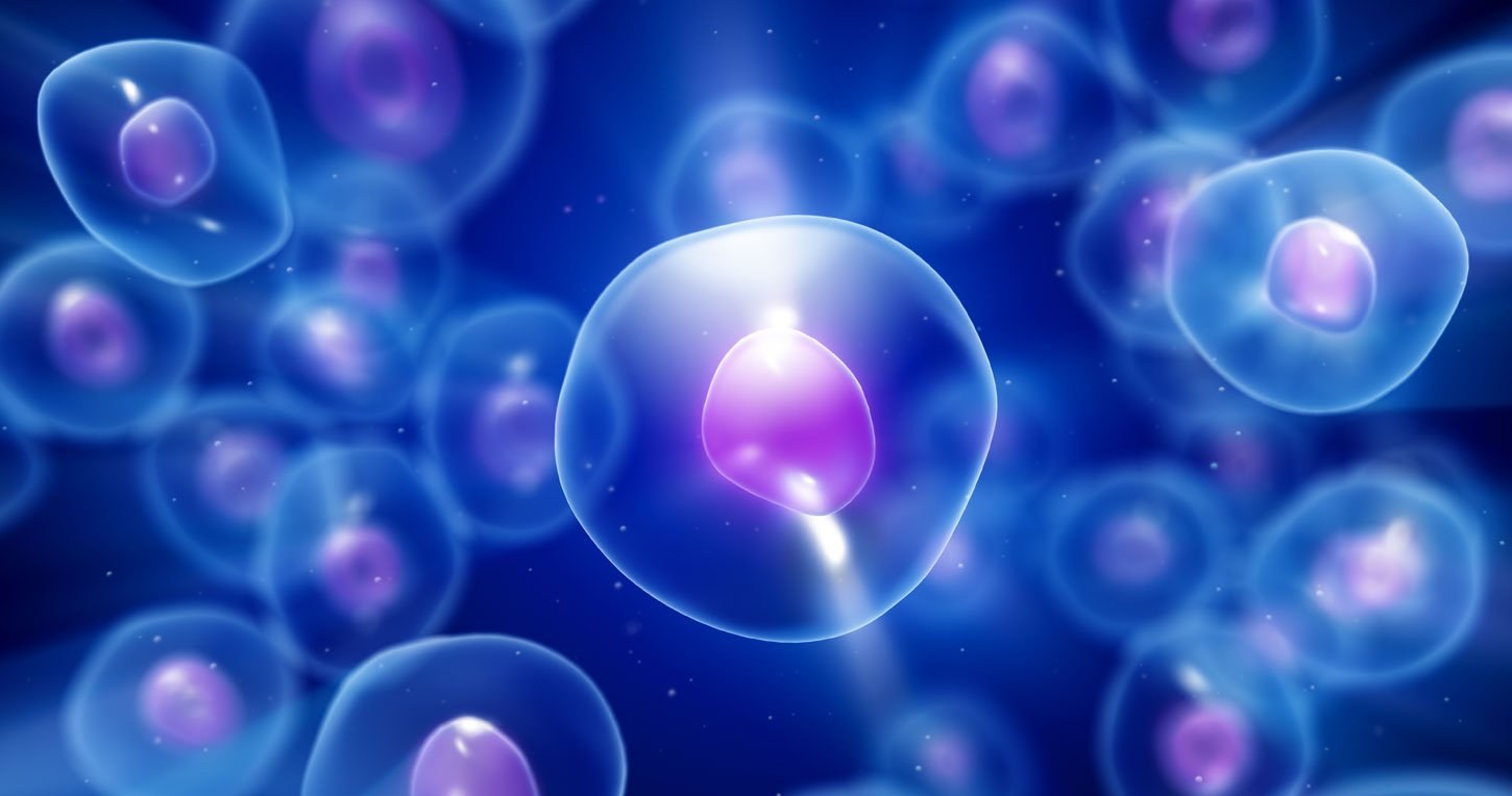 Mit Nanocontainern in den Zellkern