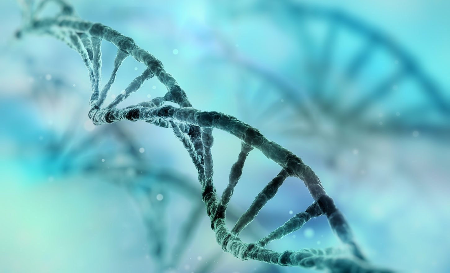 "Junk-DNA" beeinflusst Autismus-Risiko
