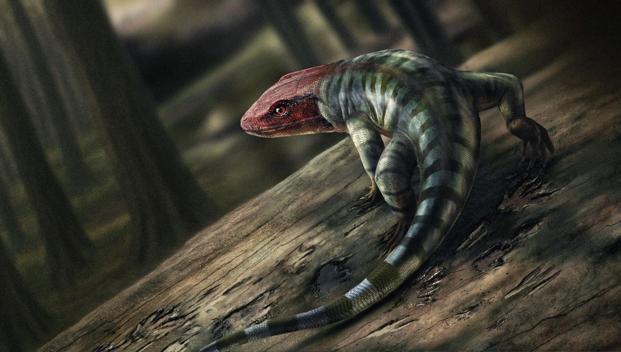 Ur-Reptilien schon vor 355 Millionen Jahren