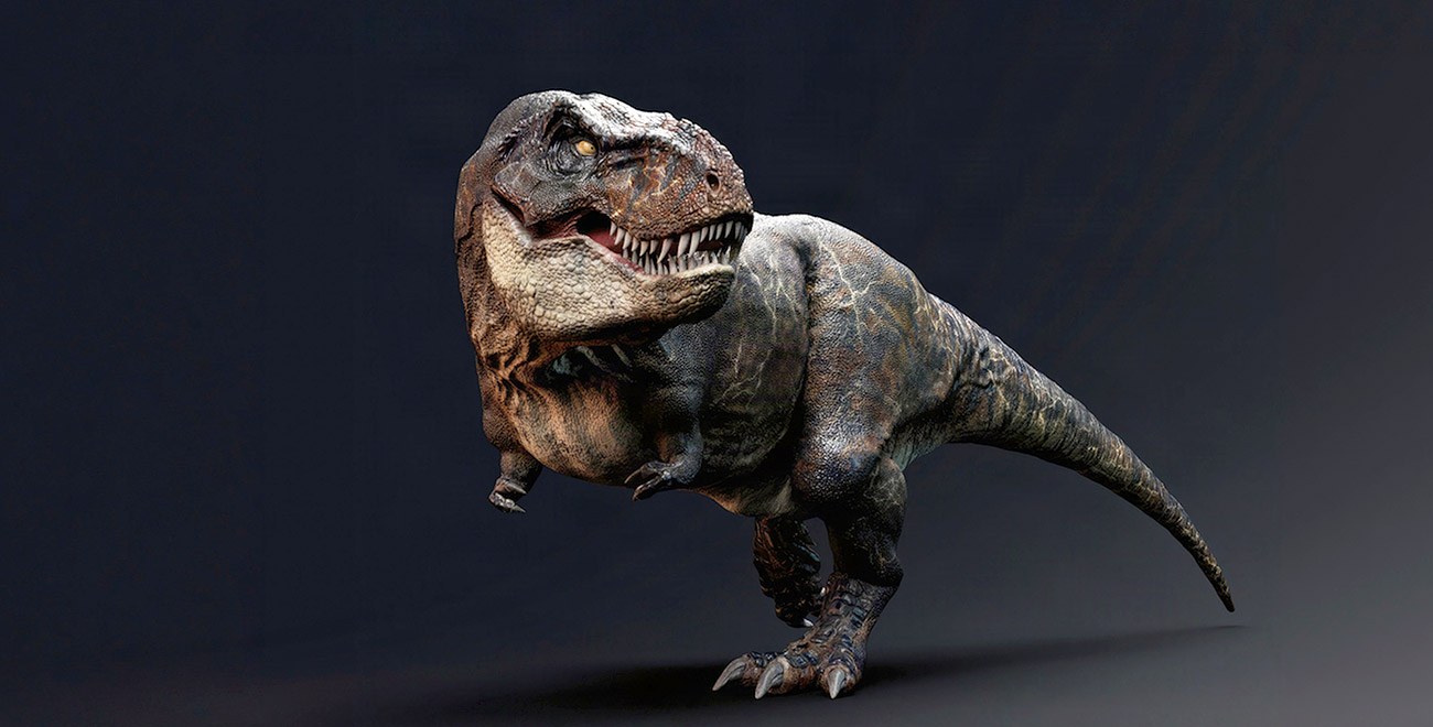 Tyrannosaurus rex hatte eine Körpertemperatur von gut 36 Grad