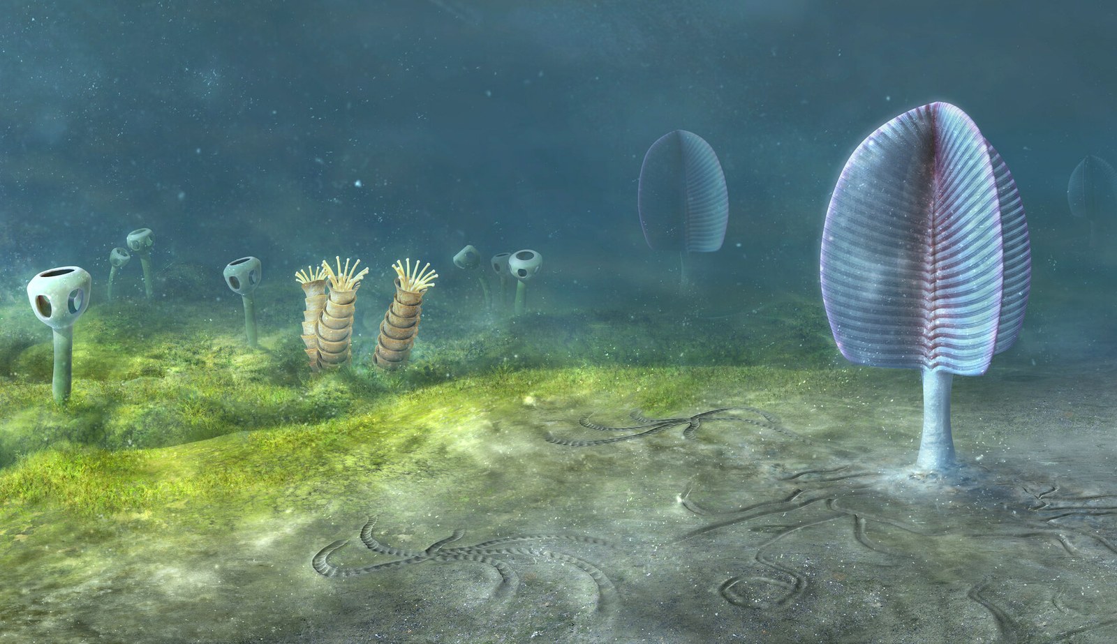 Entstanden die ersten Tiere 200 Millionen Jahre früher als gedacht?