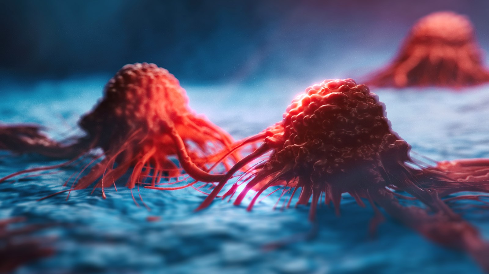 „Zombiezellen”: Warum Krebs nach der Chemotherapie oft wiederkommt - Bild der Wissenschaft