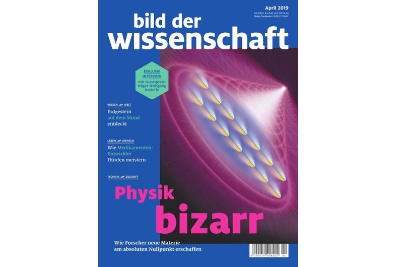 bild der wissenschaft 04-19