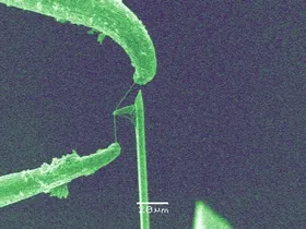 Käseschneider für die Nano-Welt