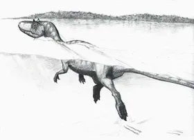 Schwimmabzeichen für die Dinos