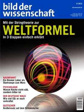 MIT DER STRINGTHEORIE ZUR WELTFORMEL