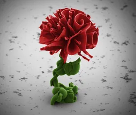 Nanoblumen leicht gemacht