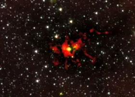 Stellarer Mega-Embryo
