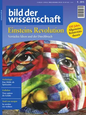 Einsteins Revolution