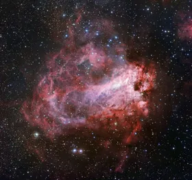 Blutroter Weltraum-Hummer