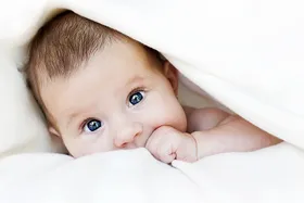 Babys verstehen Kosten-Nutzen-Prinzip