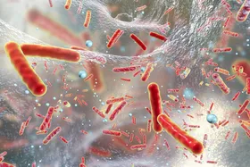 Wege aus der Antibiotika-Krise