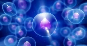 Mit Nanocontainern in den Zellkern