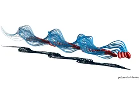 Spermien: Schwimmstil in 3D