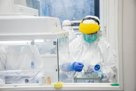 Den Wurzeln der Syphilis auf der Spur