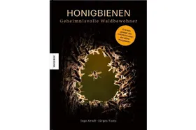 Geheimnisvolle Waldbewohner
