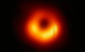 Erster Blick auf Magnetfelder am Schwarzen Loch