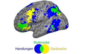 Wie wir Wissen abrufen