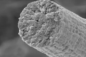 Hochleistungsmaterial aus synthetischen Muskelfasern