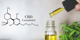 Cannabidiol / CBD – Wirkung und Anwendung im Überblick