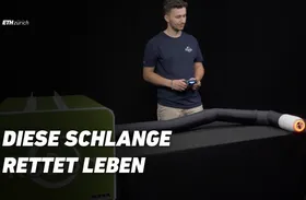 Druckluft-Roboter-Schlange