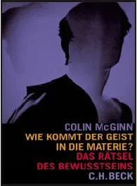 Wie kommt der Geist in die Materie?