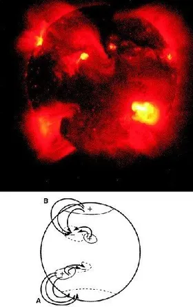 Forscher: Gigantische Magnetbögen beschleunigen die Umpolung des Sonnenmagnetfeldes