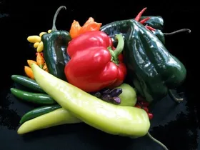 Steinzeit-Chili