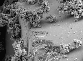 Giftige Chromverbindungen aus der Natur