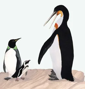 Pinguin im Großformat