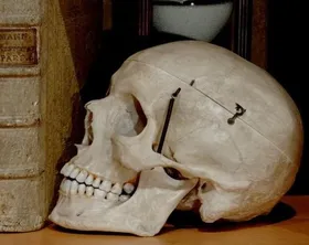 Bestätigt: Frauen haben Dickschädel