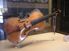 Der Stradivari-Pilz