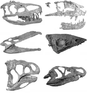 Glückliche Dinosaurier